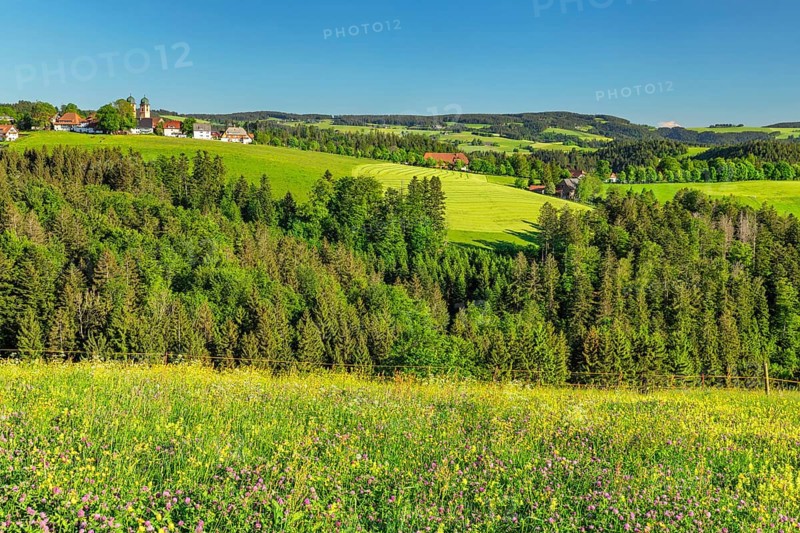 Spring landscape near St. Maergen with monastery church