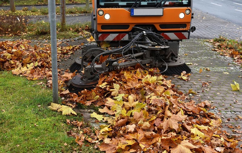 Sweeper sweeps up wilted leaves in autumn