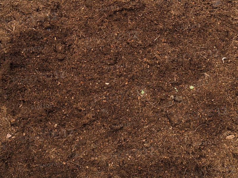 Top view soil. Resolution and high quality beautiful photo
