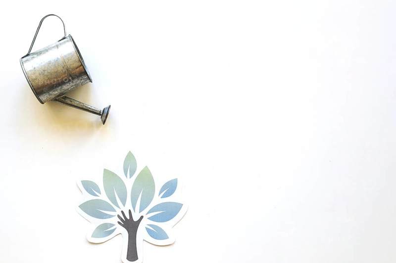 Watering pot paper tree. Resolution and high quality beautiful photo