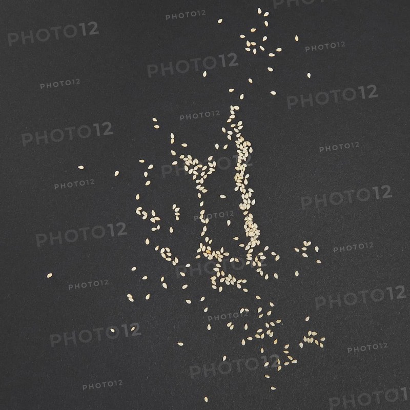 Top view of white sesame seeds scattered on gray paper