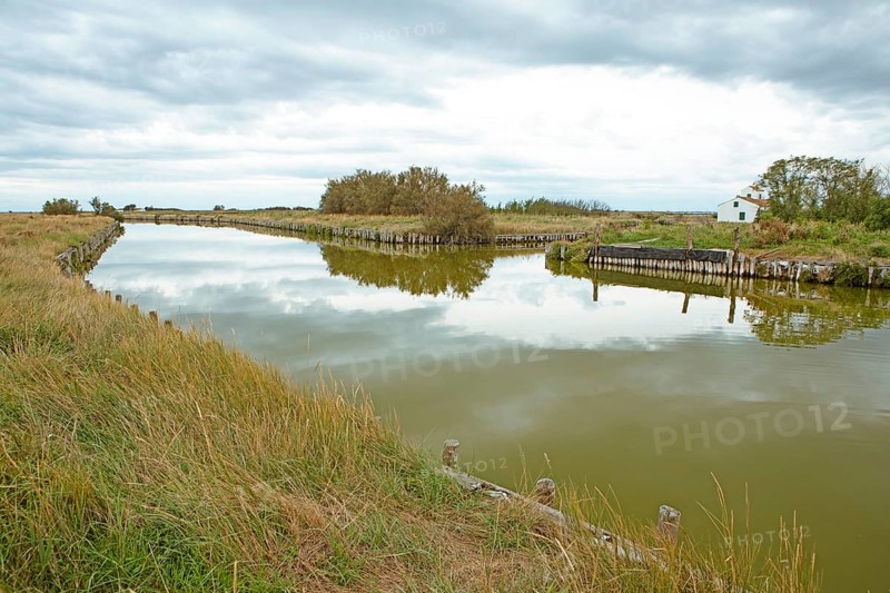 Comacchio Lagoon