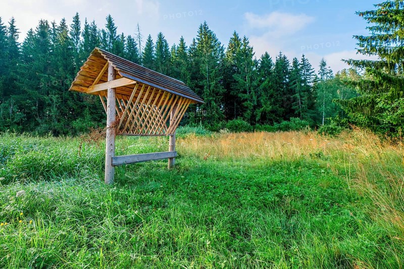 Feeder with slate roof for roe deer