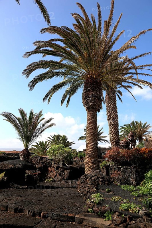 Installations at the Geological Museum in Jameos del Agua