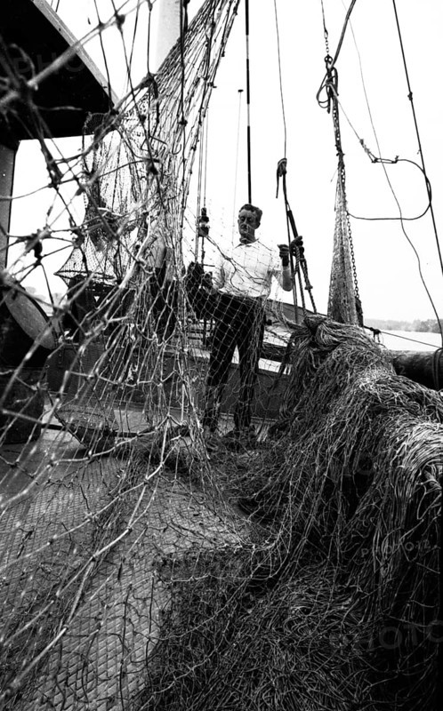 The poison accident on the Rhine