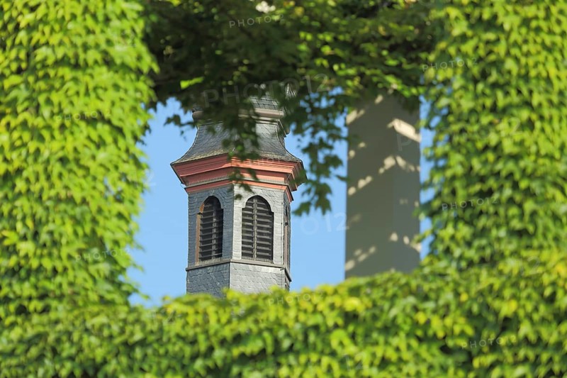View through overgrown wall with vines and church tower of St. Peter and Paul