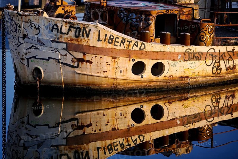 Shipwreck of the MS Dr. Ingrid Wengler in the Spree in early morning light