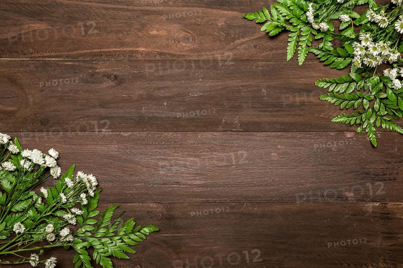 Bunches chamomiles wooden table