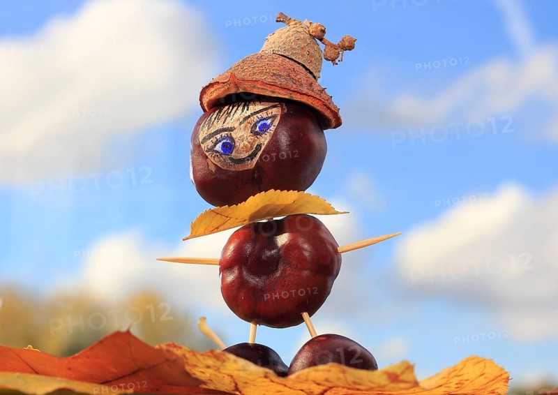 Smart chestnut figure with hat in the blue sky