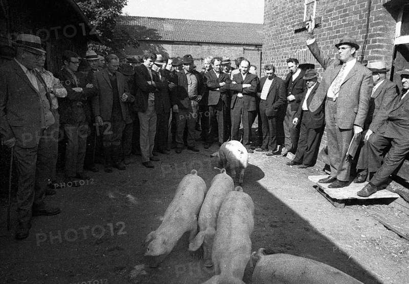 The auction of a bankrupt farm on 22. 09. 1971 in Greven in Muensterland
