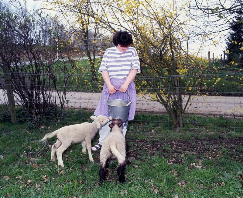 Small farmers in agriculture