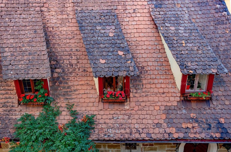 Roof of the Old Forge