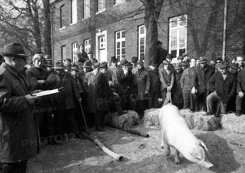 The auction of a farm on 2. 3. 1972 in the Muensterland in Ascheberg with all inventory and livestock