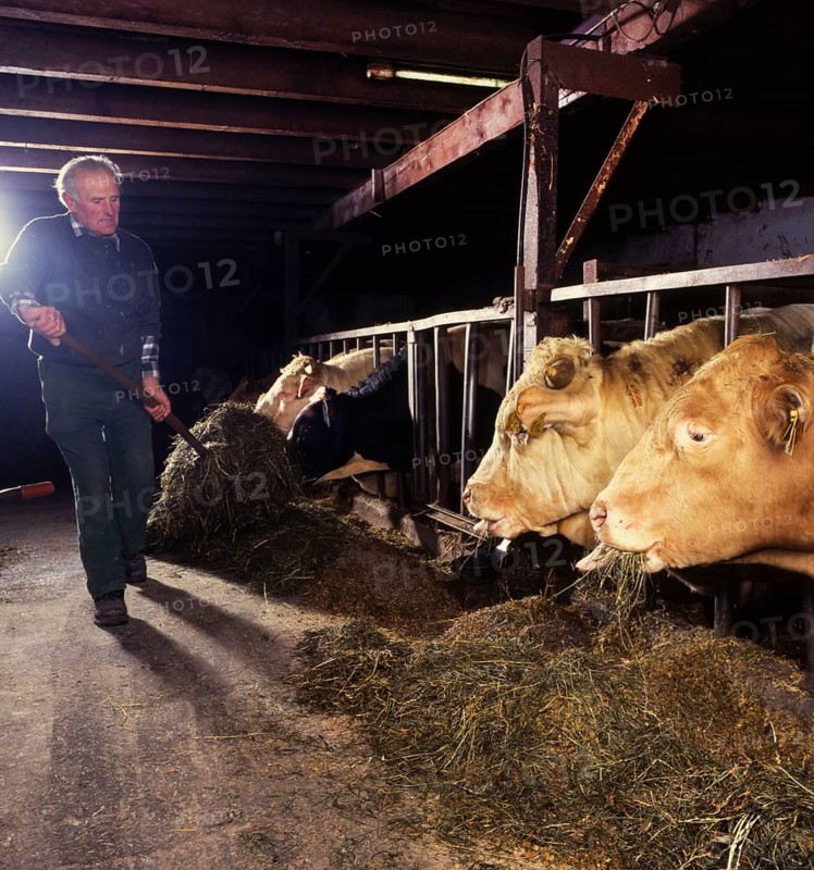 Small farmers in agriculture