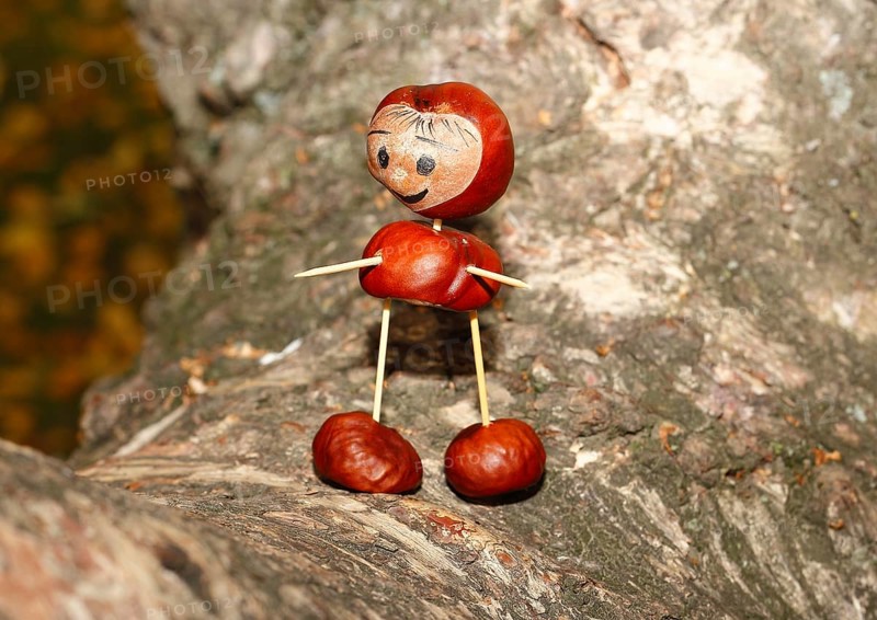 Cute chestnut figure on birch trunk