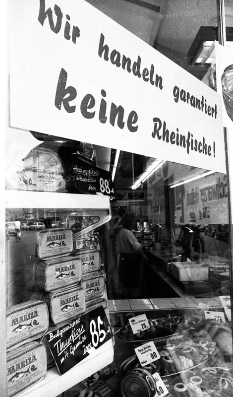 The poison accident on the Rhine