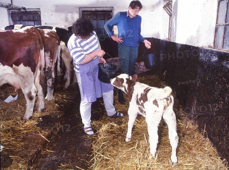 Small farmers in agriculture