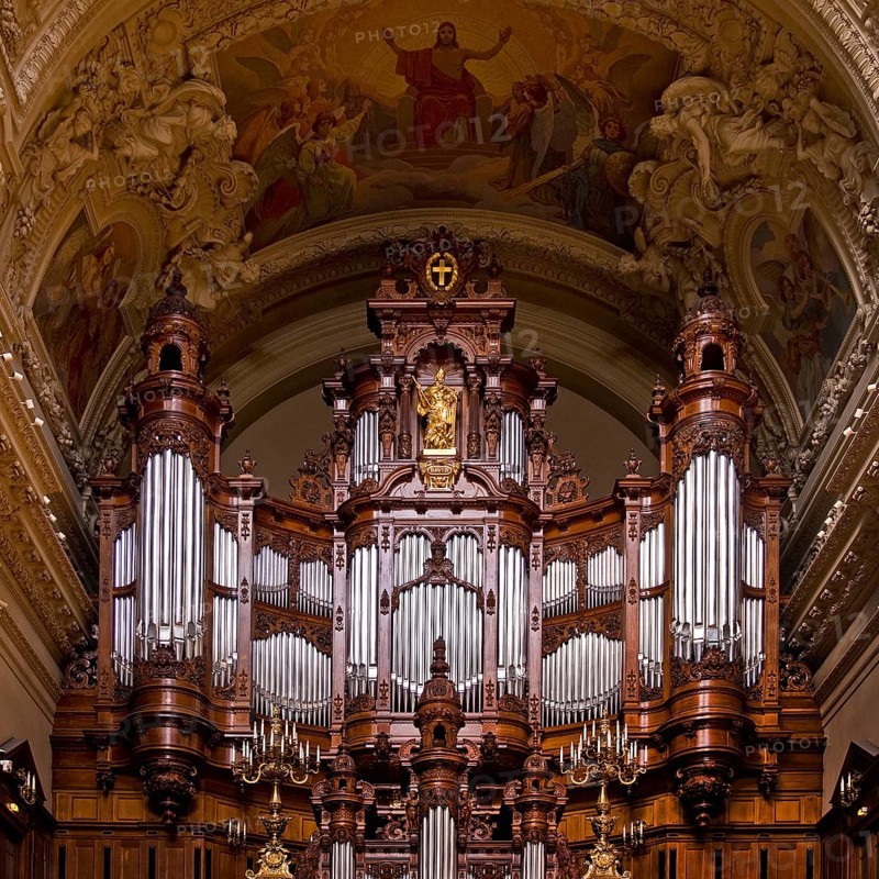Sauer organ
