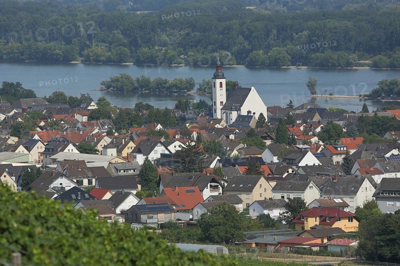 View of Winkel with St. Walburga Church and Rhine