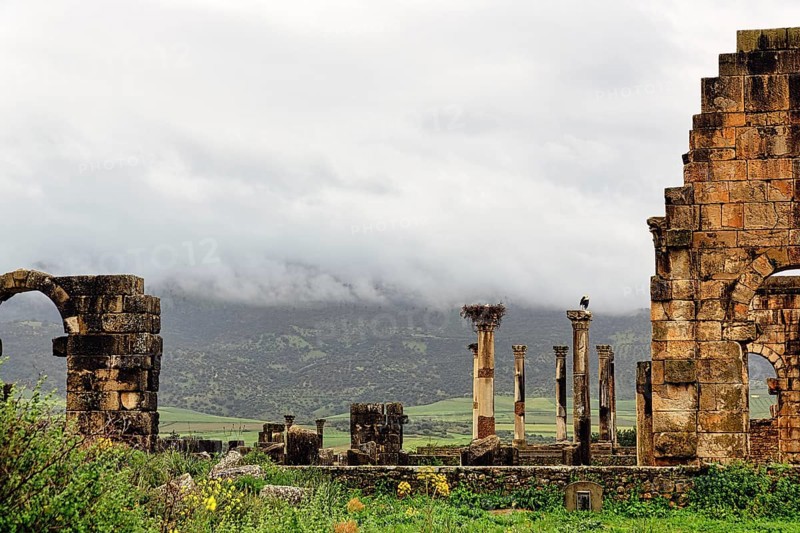 Roman ruins of Volubilis