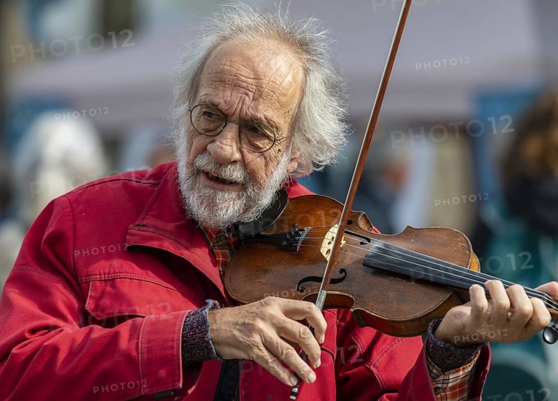 Klaus der Geiger