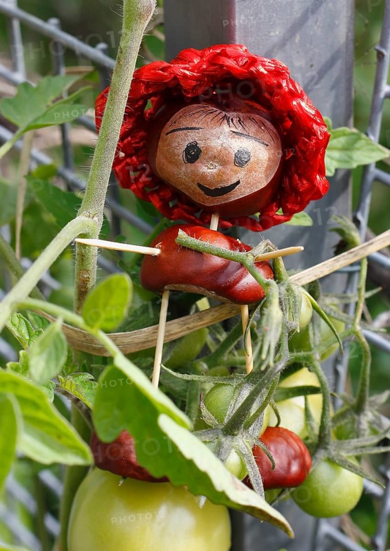 Cute chestnut figure with tomatoes