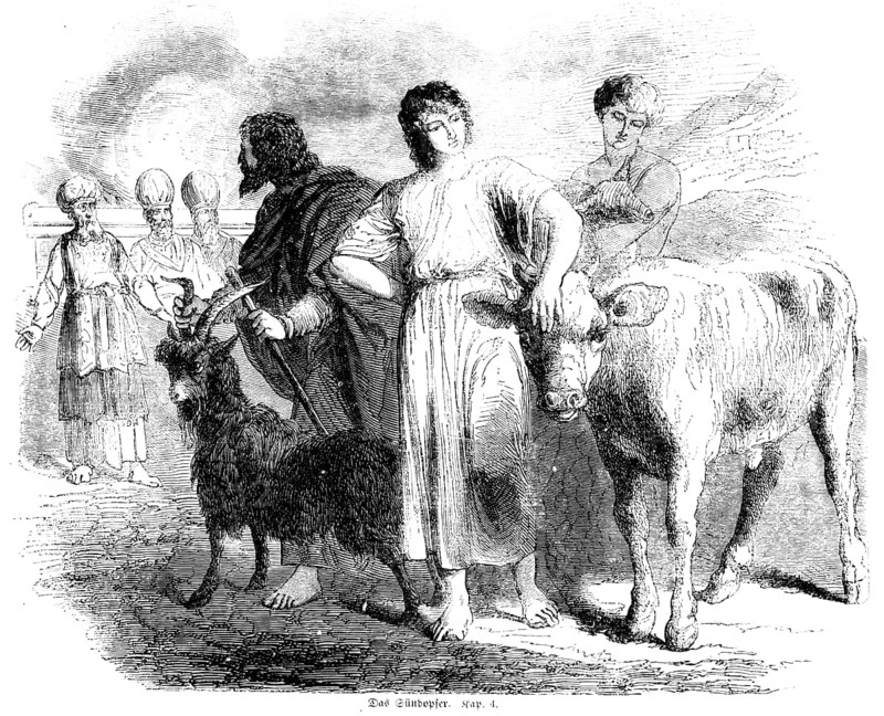 The sin offering