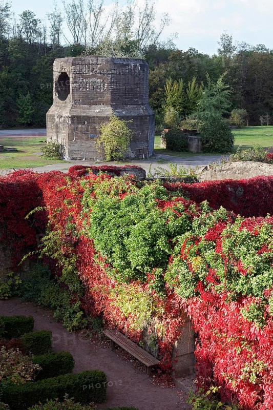 Bunker gardens overgrown with wild vines in autumn colours