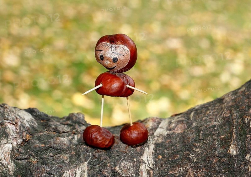 Cute chestnut figure on birch trunk