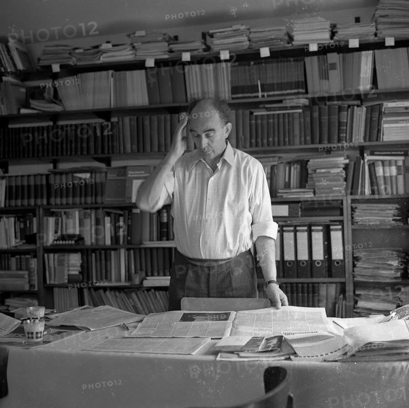 Conferences of the newly founded communist party