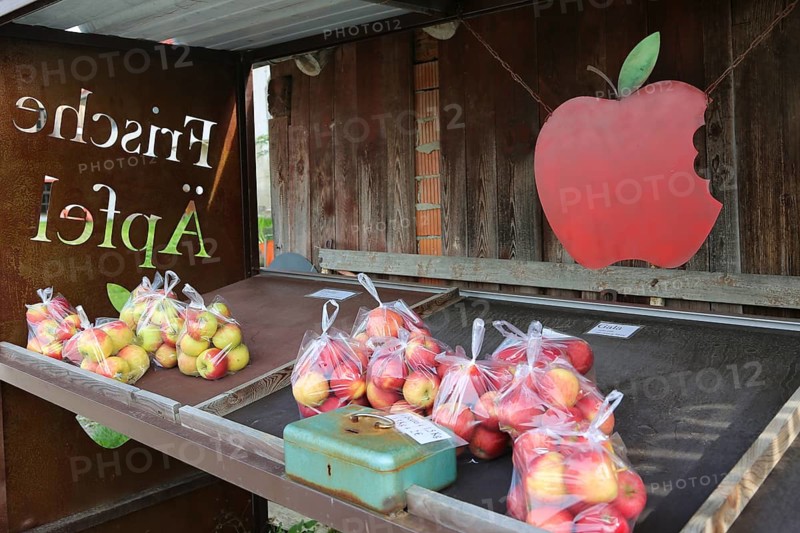 Apples from Lake Constance
