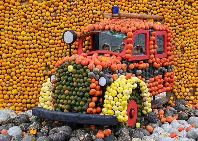 Figure Fire Truck Pumpkins