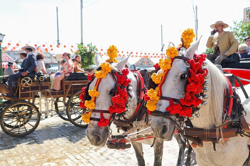 Horse-drawn carriages