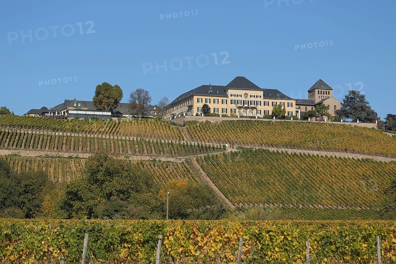 Johannisberg Castle and Landscape with Vineyards Wine Growing Area