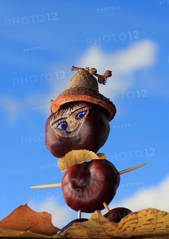 Smart chestnut figure with hat in the blue sky