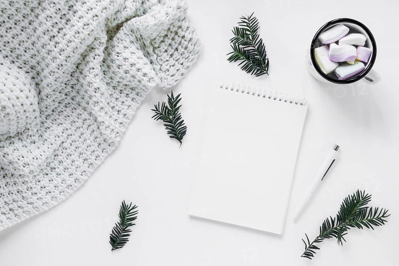 Blanket hot chocolate near conifer twigs notebook