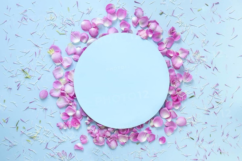 Blue background decorated with fresh flower petals