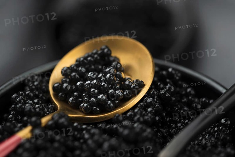 Black caviar golden spoon