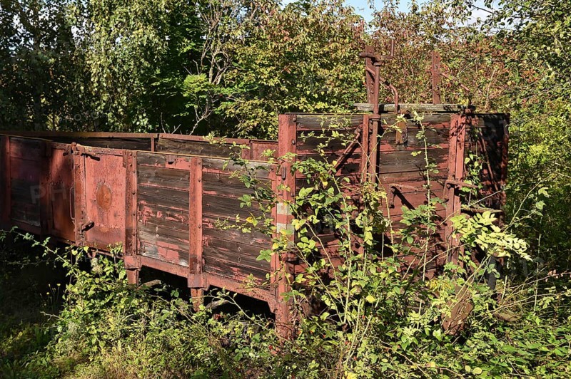 Harzer Schmalspurbahn goods wagon on a siding