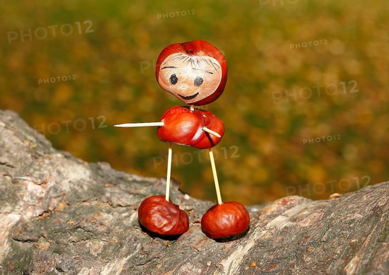 Cute chestnut figure on birch trunk