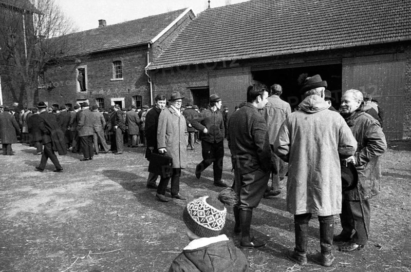 The auction of a farm on 2. 3. 1972 in the Muensterland in Ascheberg with all inventory and livestock
