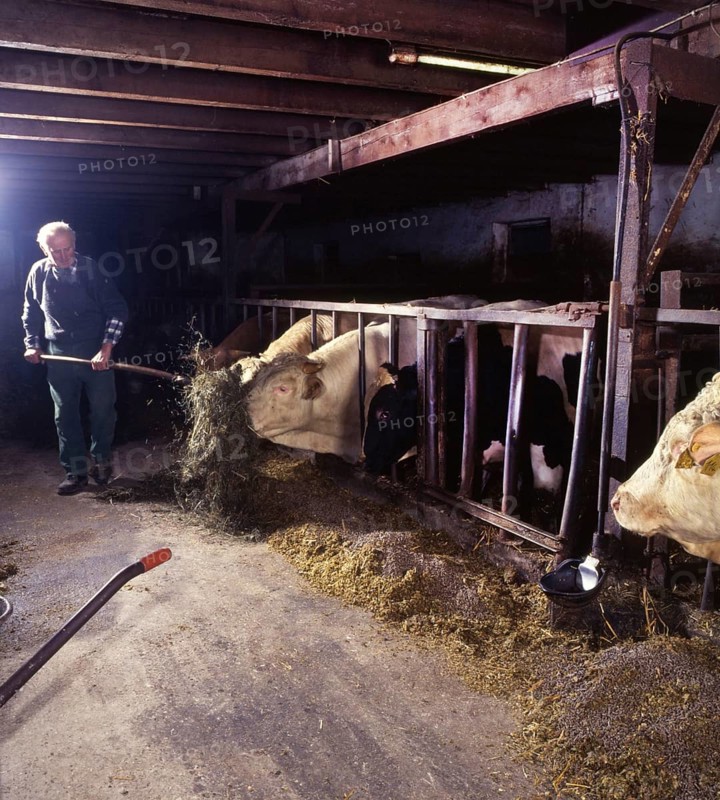 Small farmers in agriculture