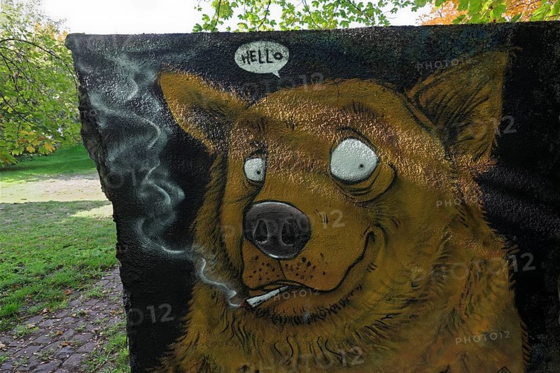 Graffiti
