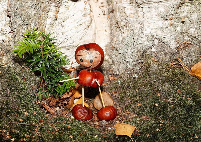 Cute chestnut figure standing in front of birch trunk