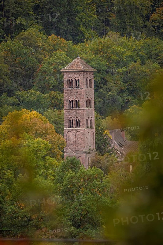Eulenburg in autumn forest