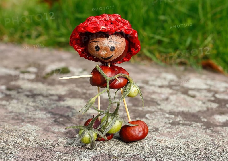 Cute chestnut figure with small tomatoes on wall