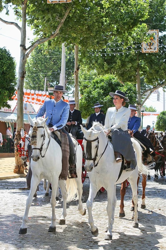 Horses