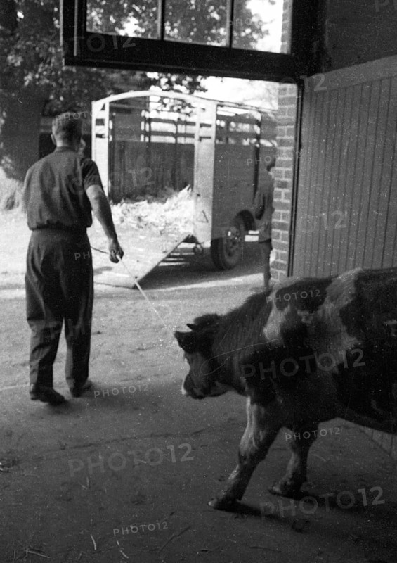 The auction of a bankrupt farm on 22. 09. 1971 in Greven in Muensterland