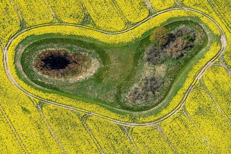 Aerial view of a Soll in a rape field