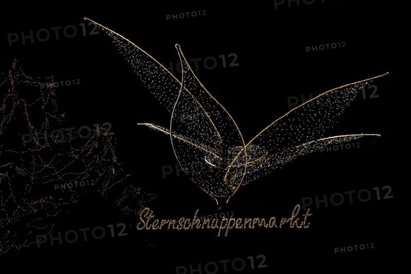 String of lights with inscription shooting star market
